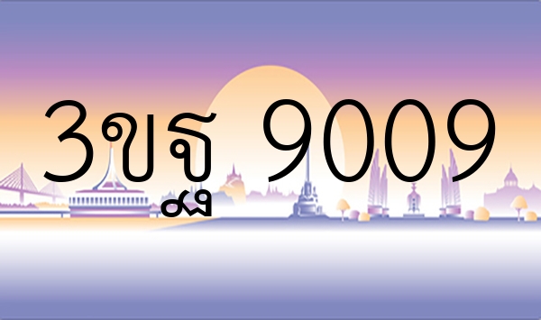 3ขฐ 9009